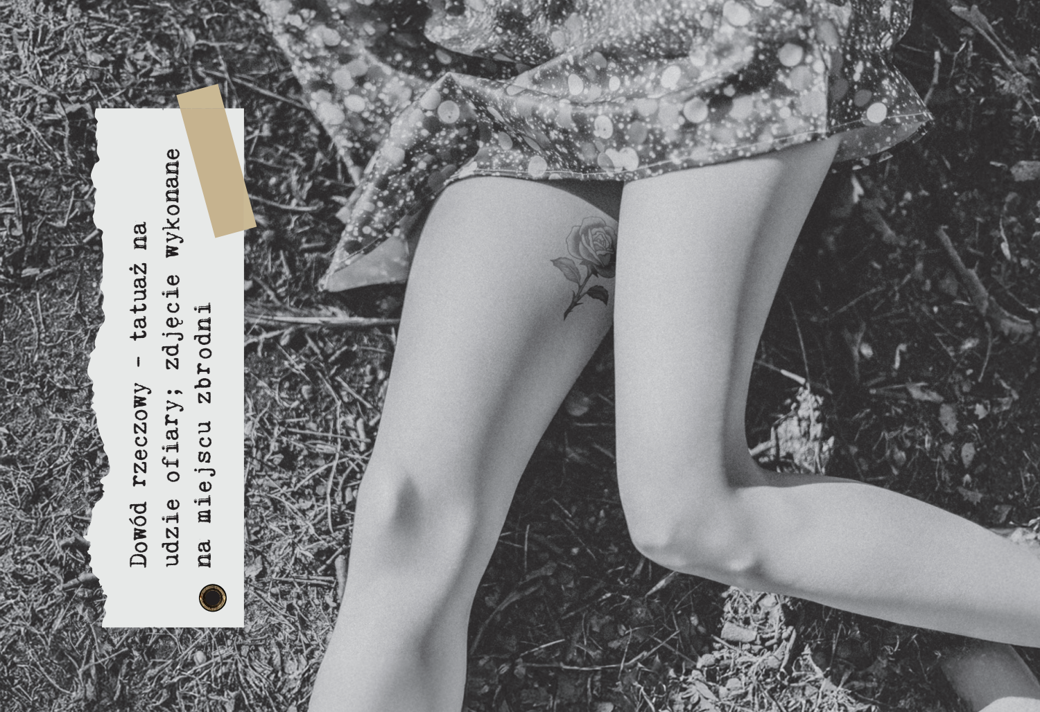 Gra kryminalna „Akta tajemnic. Sprawa: Kobieta nad stawem” - Marcin Myszka (PRZEDSPRZEDAŻ)